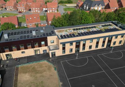 Mandeville Primary School